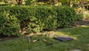 Eliminare una siepe dal giardino in 4 semplici passaggi